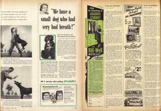 Better Homes & Gardens September 1952 Magazine Article: Page 255