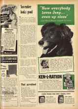 Better Homes & Gardens October 1952 Magazine Article: November looks good