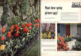 Better Homes & Gardens October 1952 Magazine Article: Plant these spring pictures now!