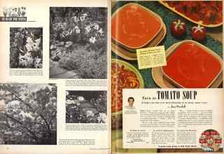 Better Homes & Gardens October 1952 Magazine Article: Page 78