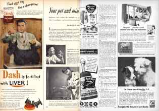 Better Homes & Gardens October 1952 Magazine Article: Your pet and mine