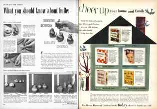 Better Homes & Gardens October 1952 Magazine Article: Page 296