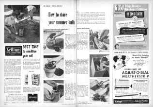 Better Homes & Gardens October 1952 Magazine Article: Page 300