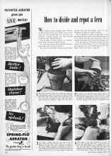 Better Homes & Gardens November 1952 Magazine Article: How to divide and repot a fern