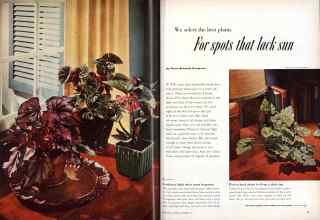 Better Homes & Gardens November 1952 Magazine Article: For spots that lack sun