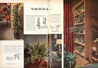 Better Homes & Gardens November 1952 Magazine Article: Page 58