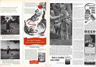 Better Homes & Gardens November 1952 Magazine Article: Page 257
