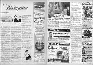 Better Homes & Gardens November 1952 Magazine Article: The diary of a Plain dirt gardener