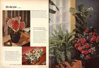 Better Homes & Gardens December 1952 Magazine Article: Page 54