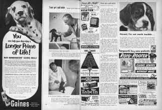 Better Homes & Gardens December 1952 Magazine Article: Page 180