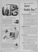 Better Homes & Gardens January 1953 Magazine Article: Have you heard the Latest Garden News?
