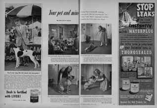 Better Homes & Gardens January 1953 Magazine Article: Your pet and mine