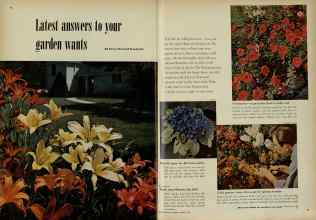 Better Homes & Gardens January 1953 Magazine Article: Latest answers to your garden wants