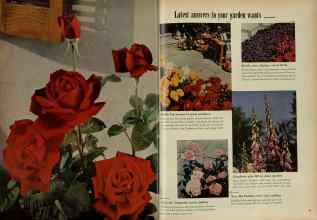 Better Homes & Gardens January 1953 Magazine Article: Page 48