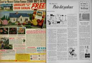 Better Homes & Gardens January 1953 Magazine Article: Page 98