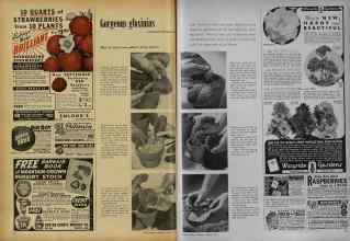 Better Homes & Gardens January 1953 Magazine Article: Page 116