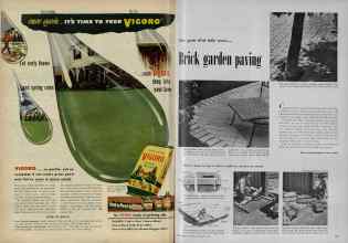 Better Homes & Gardens February 1953 Magazine Article: Page 202