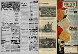 Better Homes & Gardens February 1953 Magazine Article: Page 210