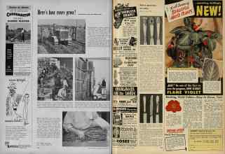 Better Homes & Gardens February 1953 Magazine Article: Page 212