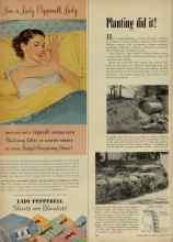 Better Homes & Gardens March 1953 Magazine Article: Planting did it!