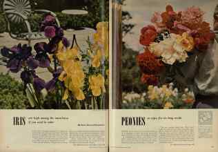 Better Homes & Gardens March 1953 Magazine Article: Page 58