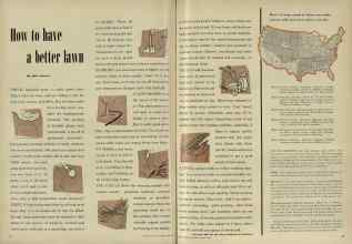 Better Homes & Gardens March 1953 Magazine Article: How to have a better lawn