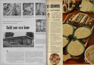 Better Homes & Gardens March 1953 Magazine Article: Page 74