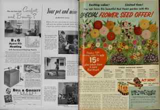 Better Homes & Gardens March 1953 Magazine Article: Page 270