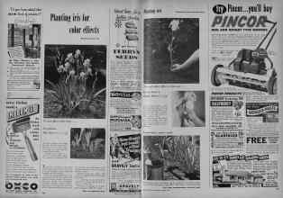 Better Homes & Gardens March 1953 Magazine Article: Page 300