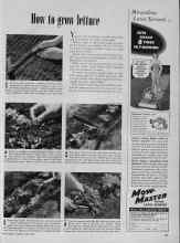 Better Homes & Gardens April 1953 Magazine Article: How to grow lettuce
