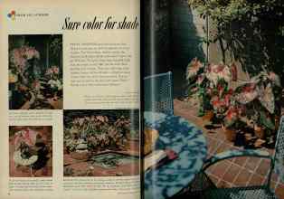 Better Homes & Gardens April 1953 Magazine Article: Sure color for shade
