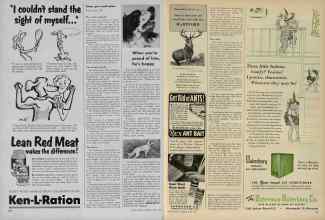 Better Homes & Gardens April 1953 Magazine Article: Page 310