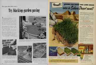 Better Homes & Gardens April 1953 Magazine Article: Page 354