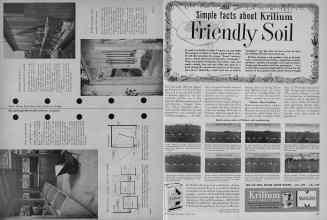 Better Homes & Gardens April 1953 Magazine Article: Page 366