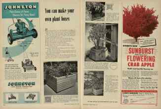 Better Homes & Gardens April 1953 Magazine Article: Yon can make your own plant boxes