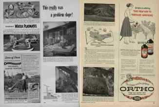 Better Homes & Gardens April 1953 Magazine Article: This really was a problem slope!