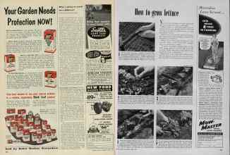 Better Homes & Gardens April 1953 Magazine Article: Page 386