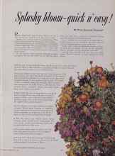 Better Homes & Gardens May 1953 Magazine Article: Splashy bloom-quick n' easy!