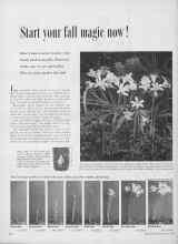 Better Homes & Gardens May 1953 Magazine Article: Start your fall magic now!