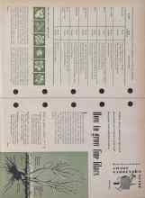 Better Homes & Gardens May 1953 Magazine Article: How to grow fine lilacs