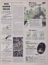 Better Homes & Gardens May 1953 Magazine Article: Grow better squash