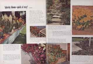 Better Homes & Gardens May 1953 Magazine Article: Page 58