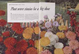 Better Homes & Gardens May 1953 Magazine Article: Page 60