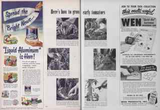 Better Homes & Gardens May 1953 Magazine Article: Page 258