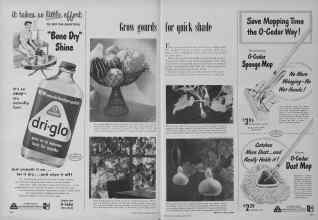 Better Homes & Gardens May 1953 Magazine Article: Grow gourds for quick shade