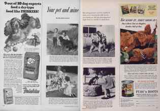 Better Homes & Gardens May 1953 Magazine Article: Your pet and mine