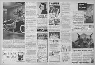 Better Homes & Gardens May 1953 Magazine Article: Page 306