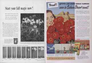 Better Homes & Gardens May 1953 Magazine Article: Page 314