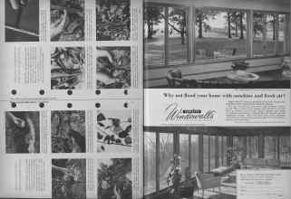 Better Homes & Gardens May 1953 Magazine Article: Page 332