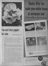 Better Homes & Gardens June 1953 Magazine Article: You can't beat poppies for color
